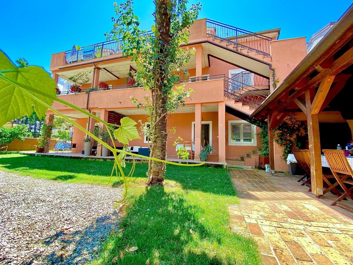 Apartments Tajana Novigrad Istria Exteriör bild
