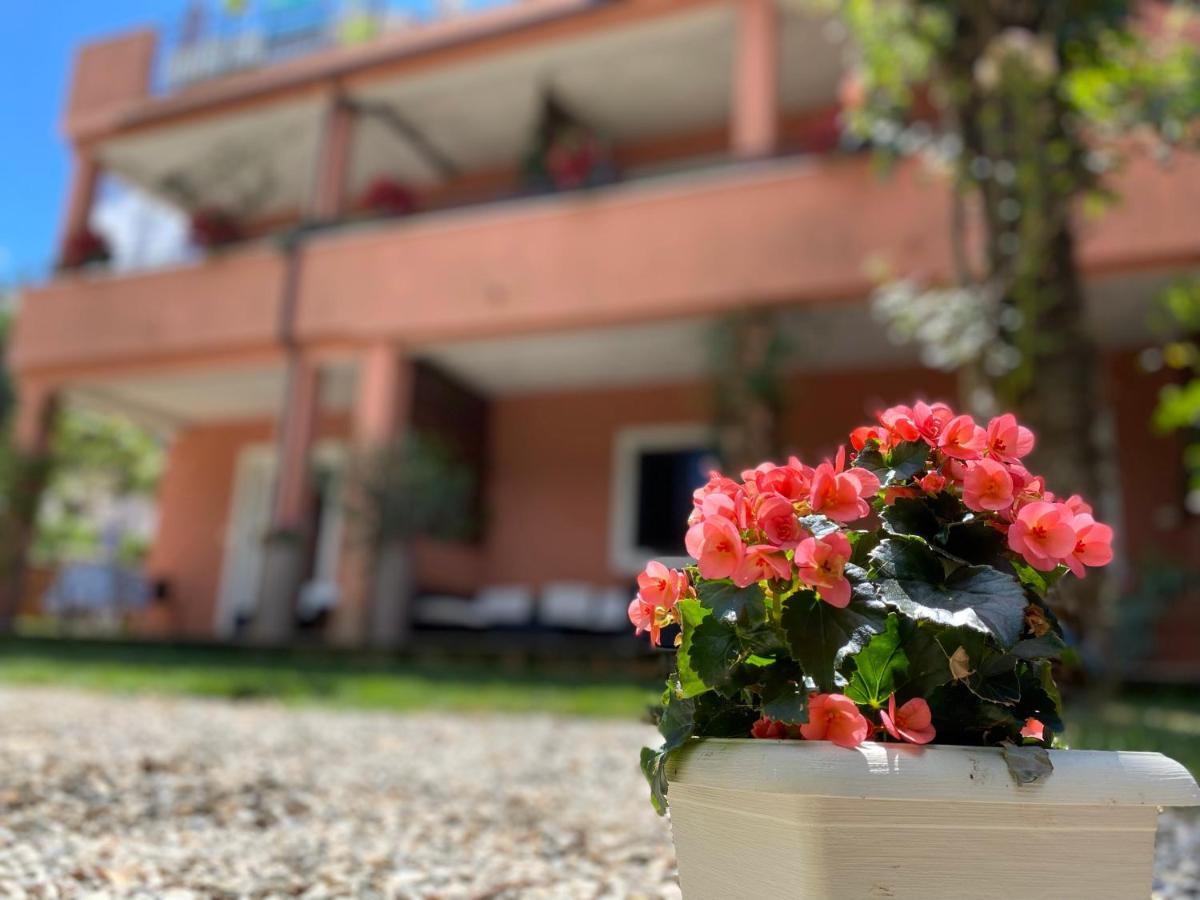 Apartments Tajana Novigrad Istria Exteriör bild