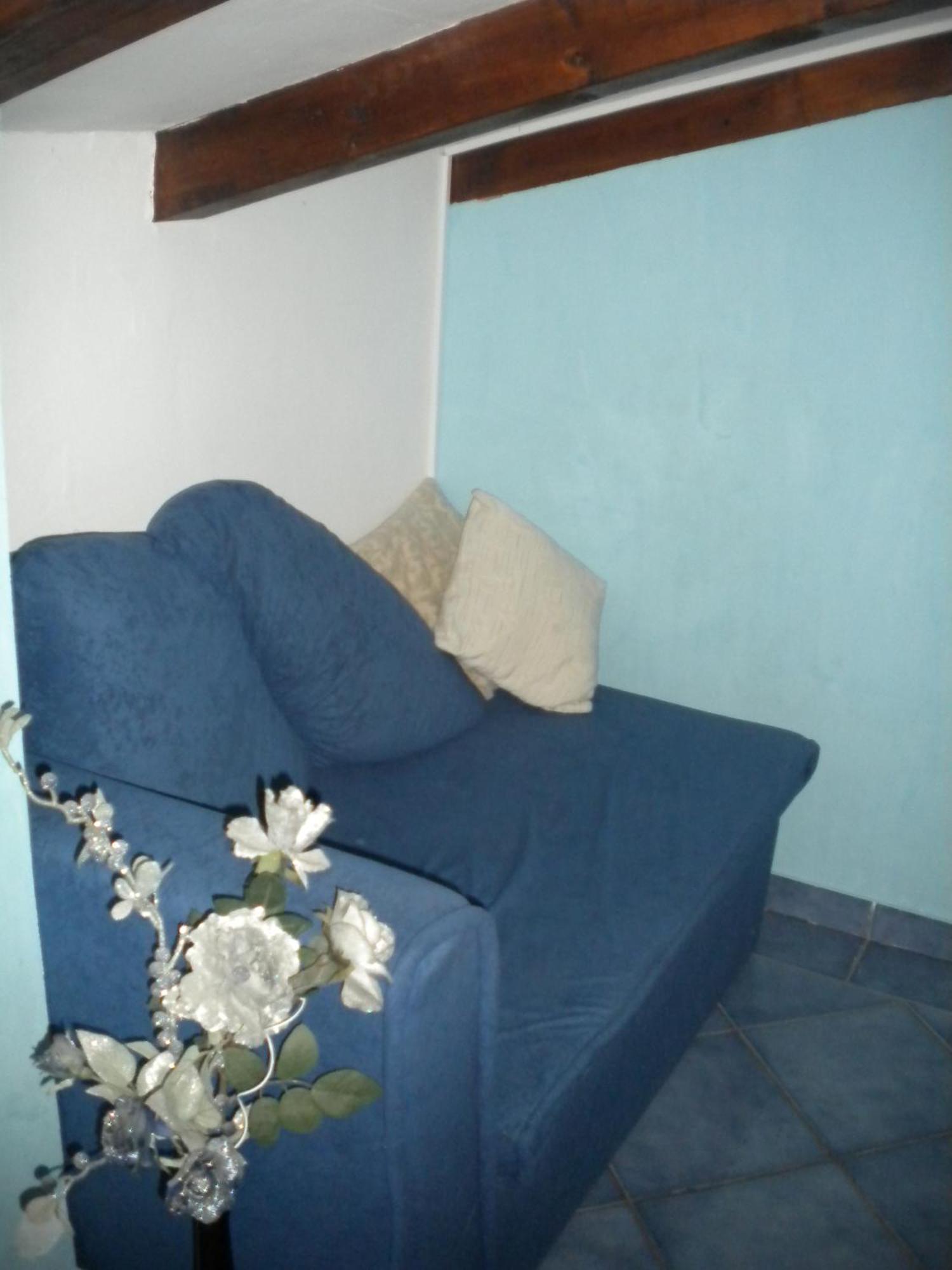 Apartments Tajana Novigrad Istria Rum bild