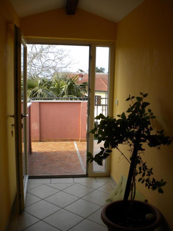 Apartments Tajana Novigrad Istria Rum bild