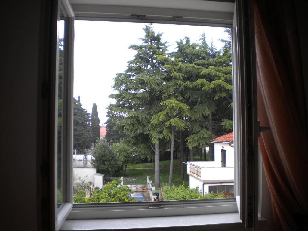 Apartments Tajana Novigrad Istria Rum bild